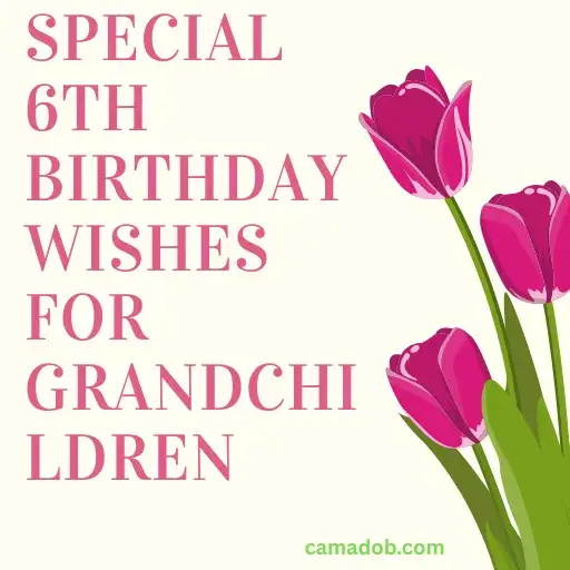 Special 6th Birthday Wishes for Grandchildren