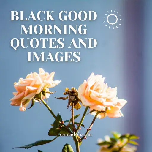 Black Good Morning Quotes and Images