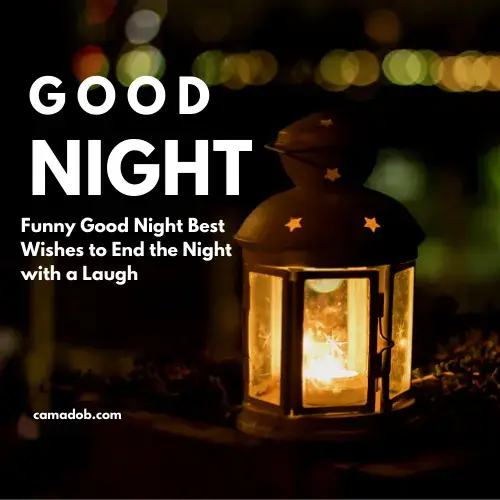 Funny Good Night Best Wishes to End the Night with a Laugh