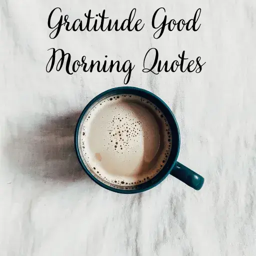 Gratitude Good Morning Quotes