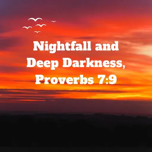 Nightfall and Deep Darkness, Proverbs 79
