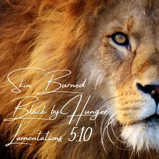 Skin Burned Black by Hunger, Lamentations 510