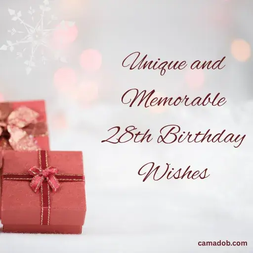 Unique and Memorable 28th Birthday Wishes