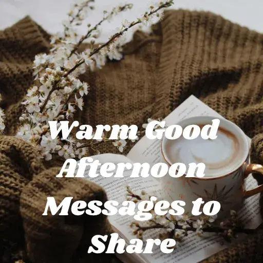 Warm Good Afternoon Messages to Share
