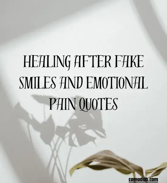 Healing After Fake Smiles and Emotional Pain Quotes
