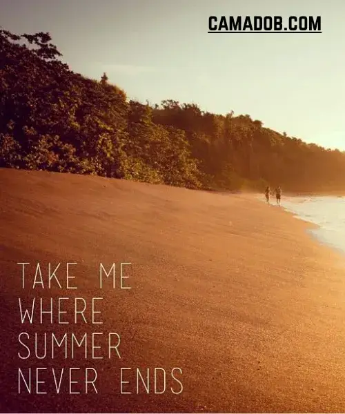 Best End of Summer Instagram Captions