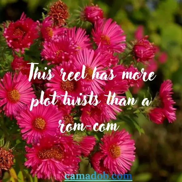 Captions for Wedding Reels & Videos