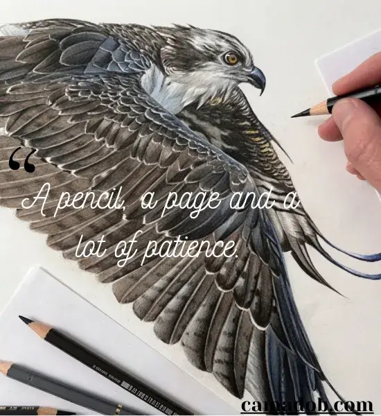 Drawing Captions for Instagram