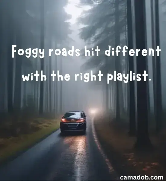 Driving Through the Fog Captions