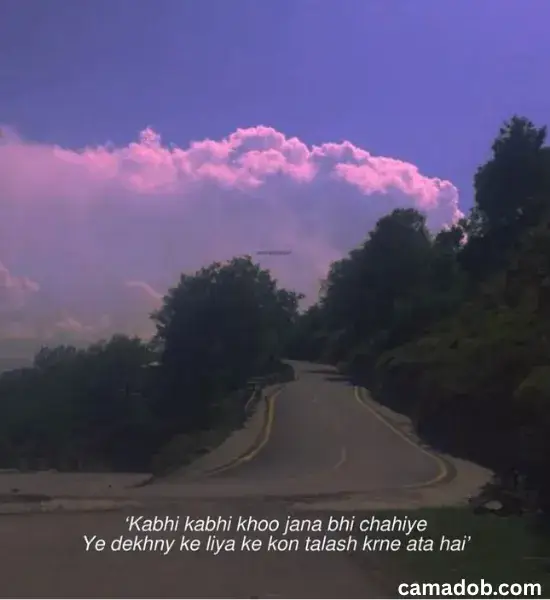 Hindi Fog and Winter Captions