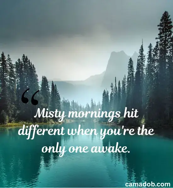 Misty Morning Instagram Captions