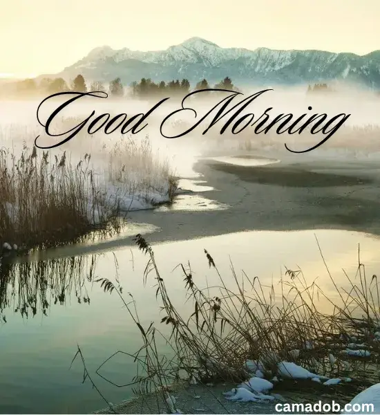 Winter Morning Fog Captions
